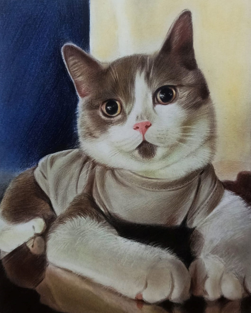 cat-portrait-drawing cat portrait drawing