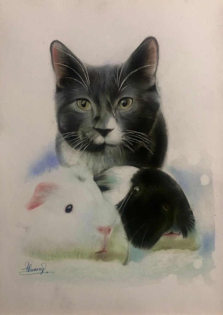 3 pet